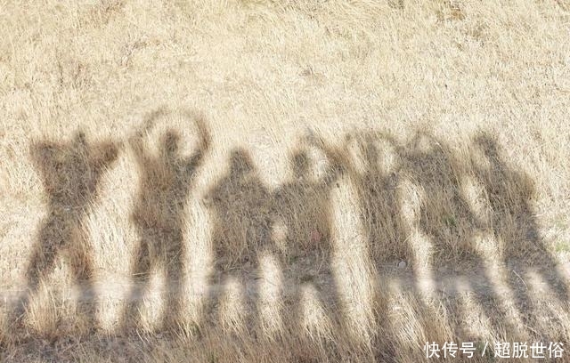 等来等去没了时间