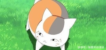 身为一个胖子中的胖子