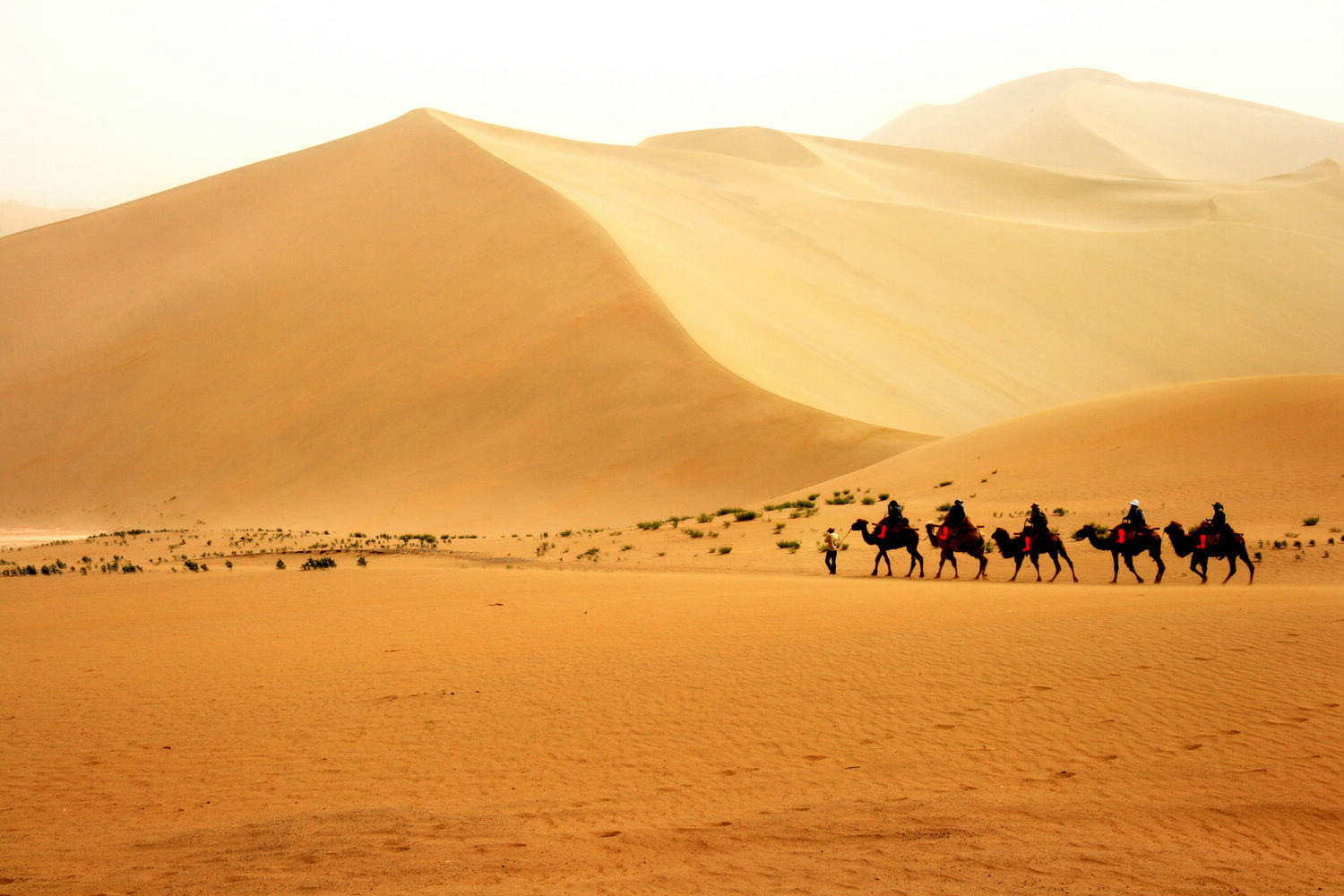 沙漠|摄影|风光|qiujiajie3 - 原创作品 - 站酷 (ZCOOL)
