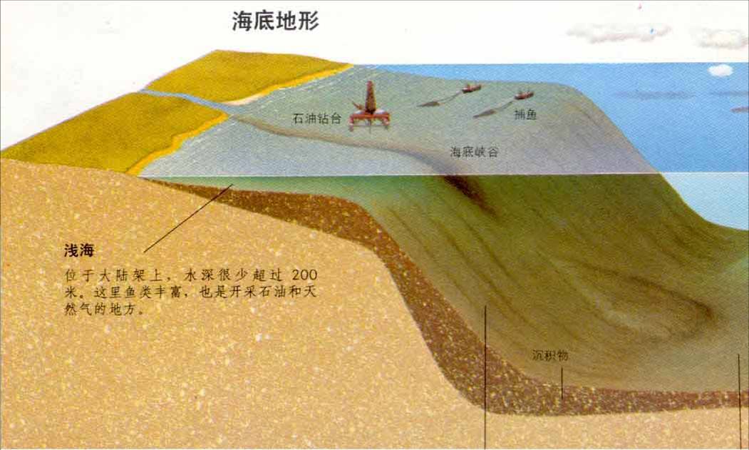 浪基面_360百科