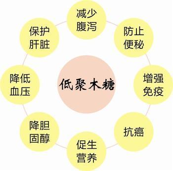 低聚木糖天然材料名词