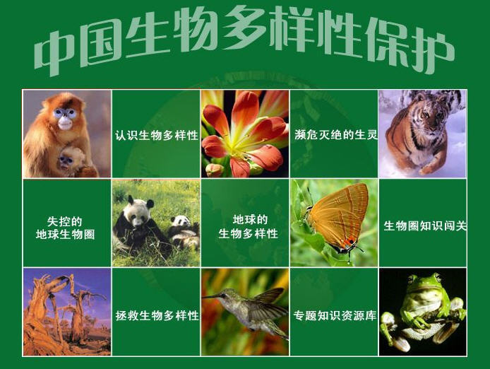 生物的多样性包括什么