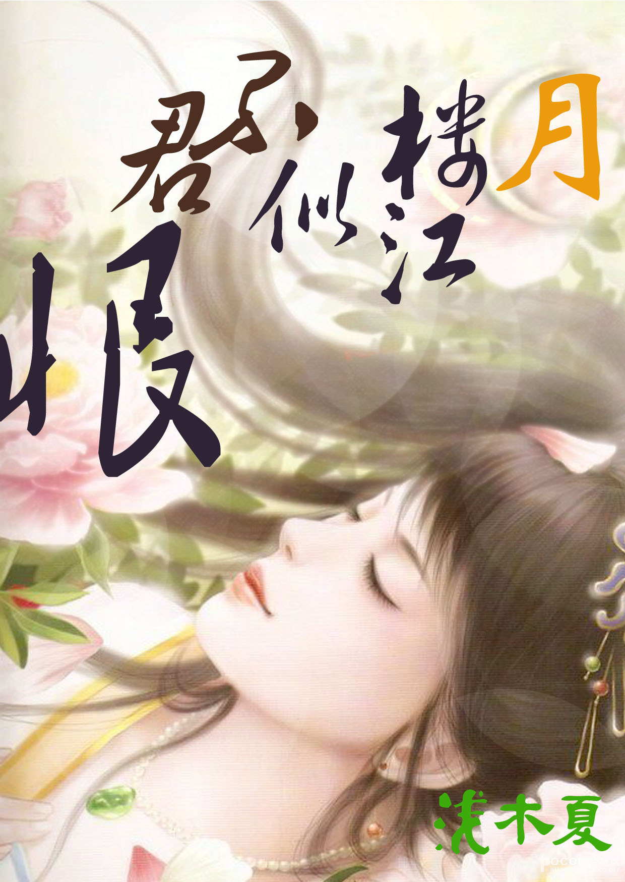 恨君不似江楼月浅木夏所写小说