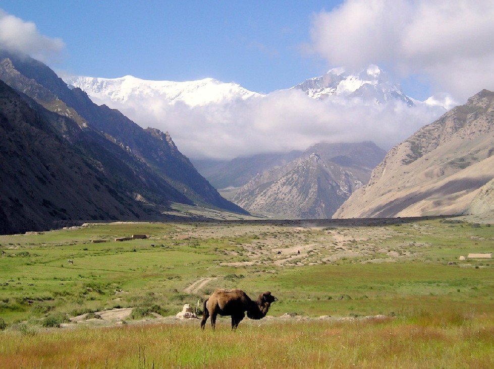 关于陆地的英文单词