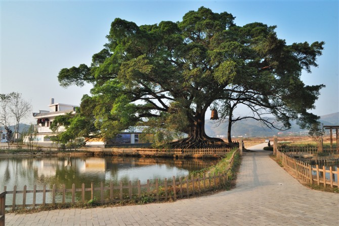 正桂村图册_360百科