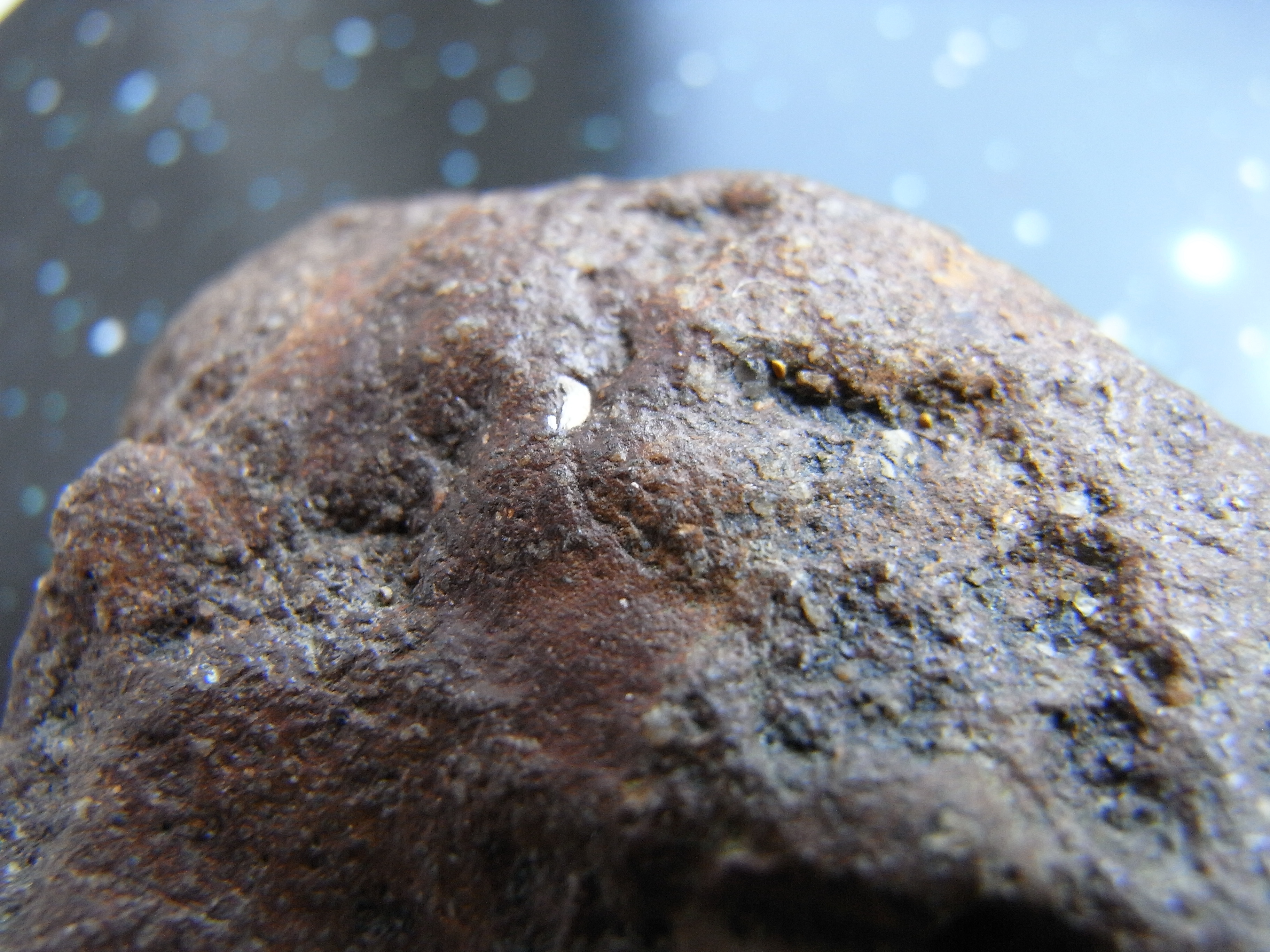 【博物故事⑨】陨石：来自天外来客的深情问候-中国地质大学逸夫博物馆