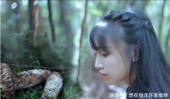 李子柒的签约公司