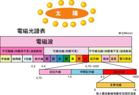 遠紅外光電