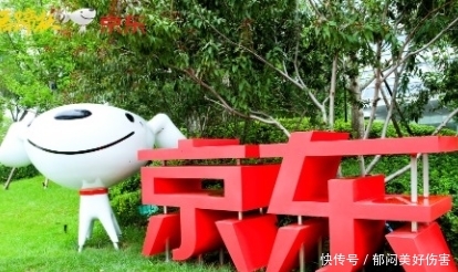 京东手机怎么买