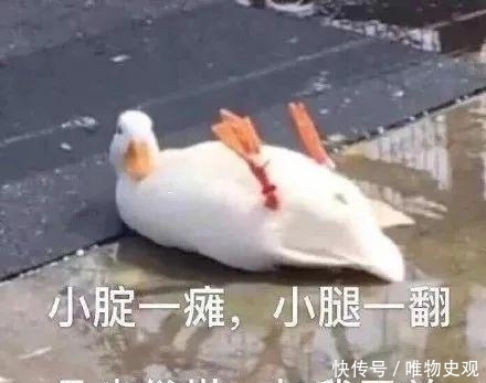 朱广权跨年网络