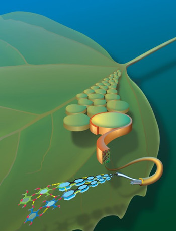 生物质能是一次性动力还是二次动力