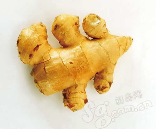 姜叶图册_360百科