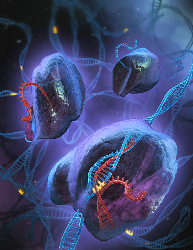crisprcas9基因编辑技术诺贝尔奖,crispr-cas9基因编辑技术诺贝尔奖