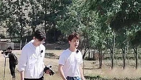 马天宇认识张翰