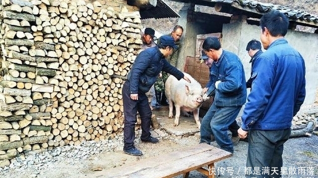 猪肉有多少斤