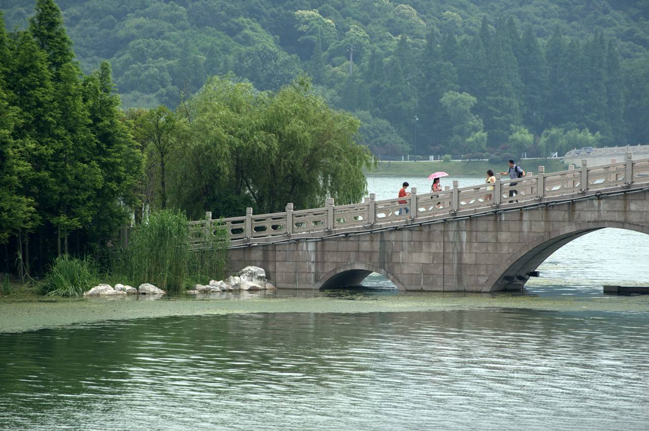 2019后官湖湿地公园-旅游攻略-门票-地址-问答-游记点评，武汉旅游旅游景点推荐-去哪儿攻略