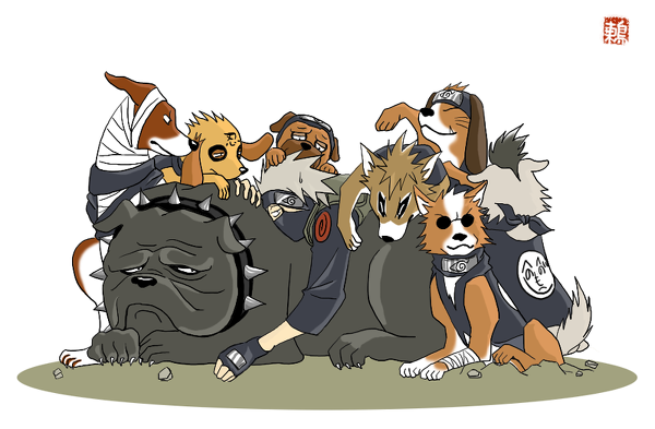 八忍犬图册_360百科