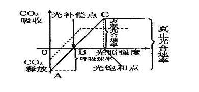 二氧化碳补偿点农学名词