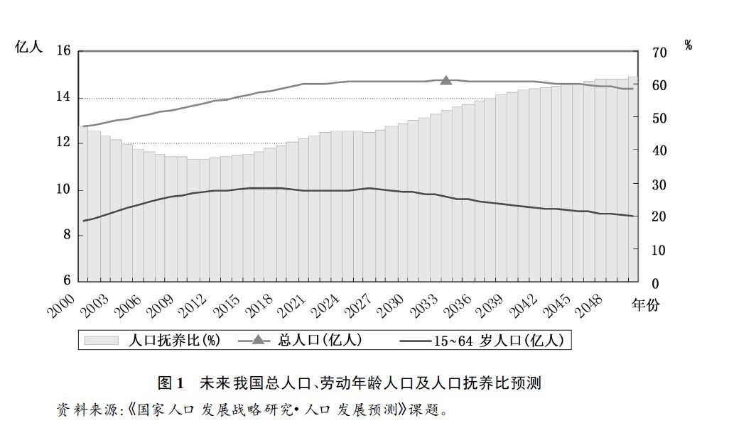 人口统计与文化融入分析