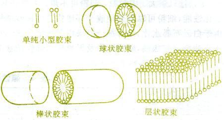 胶束_360百科