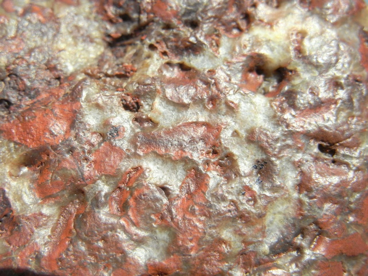 中科院火星陨石图片图片