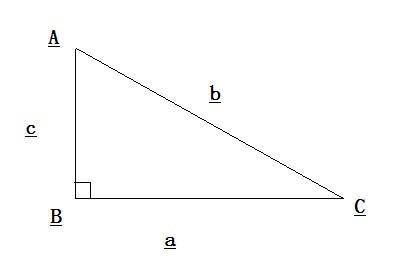 直角三角形形态图片