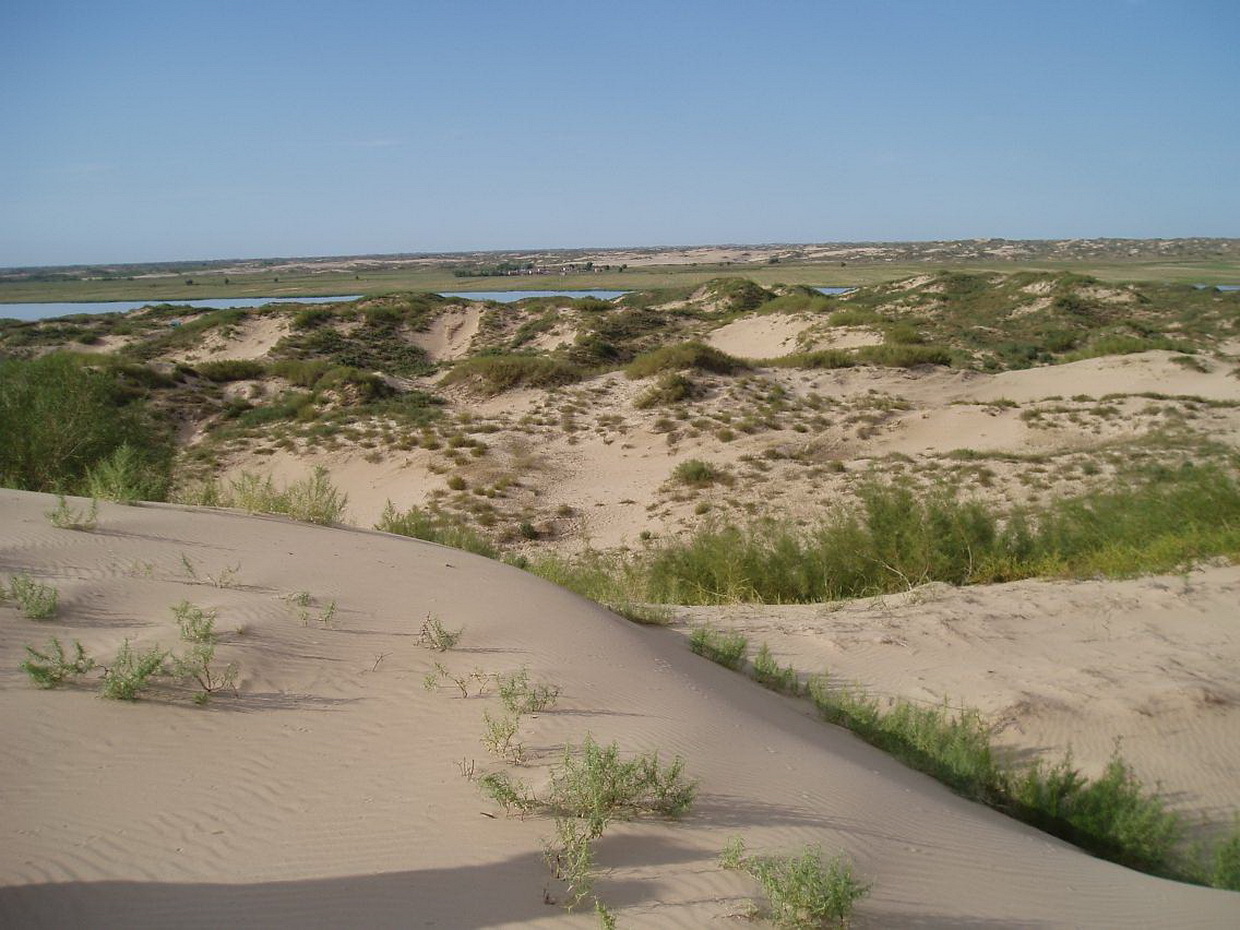 中国发明的“吞沙巨兽”，一天能吞噬沙漠40亩，已在甘肃投入使用_治沙_荒漠_治理