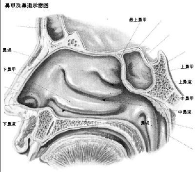 空鼻症_360百科